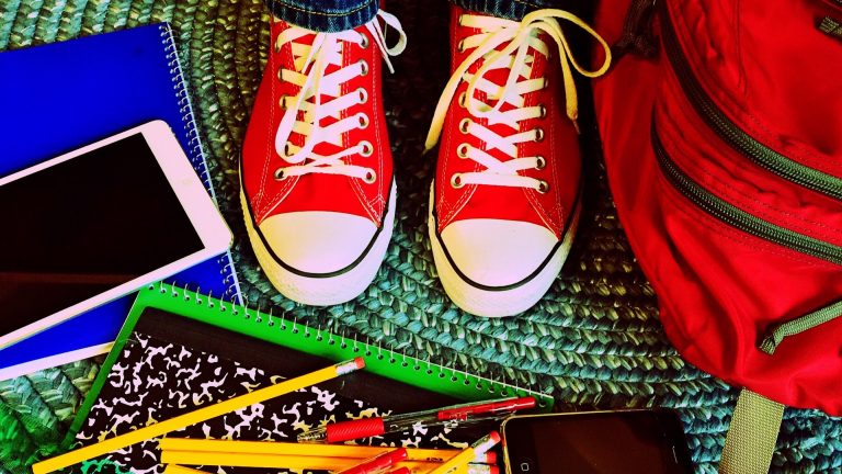 Le monde rapide des autistes et intégration scolaire